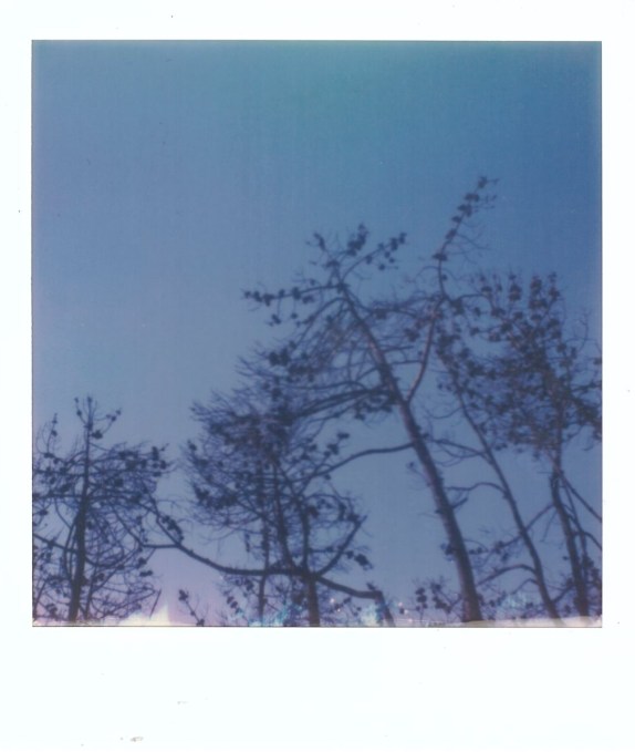 insulare_venticinque